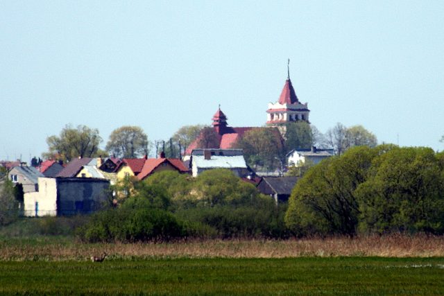Лапы