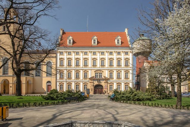 Олава