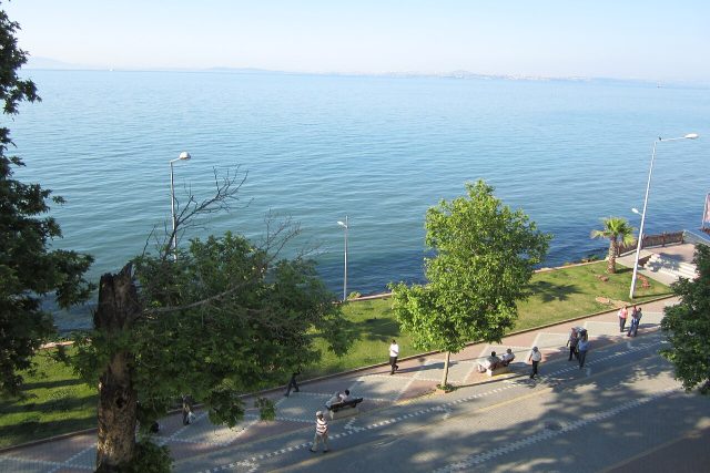 Ялова