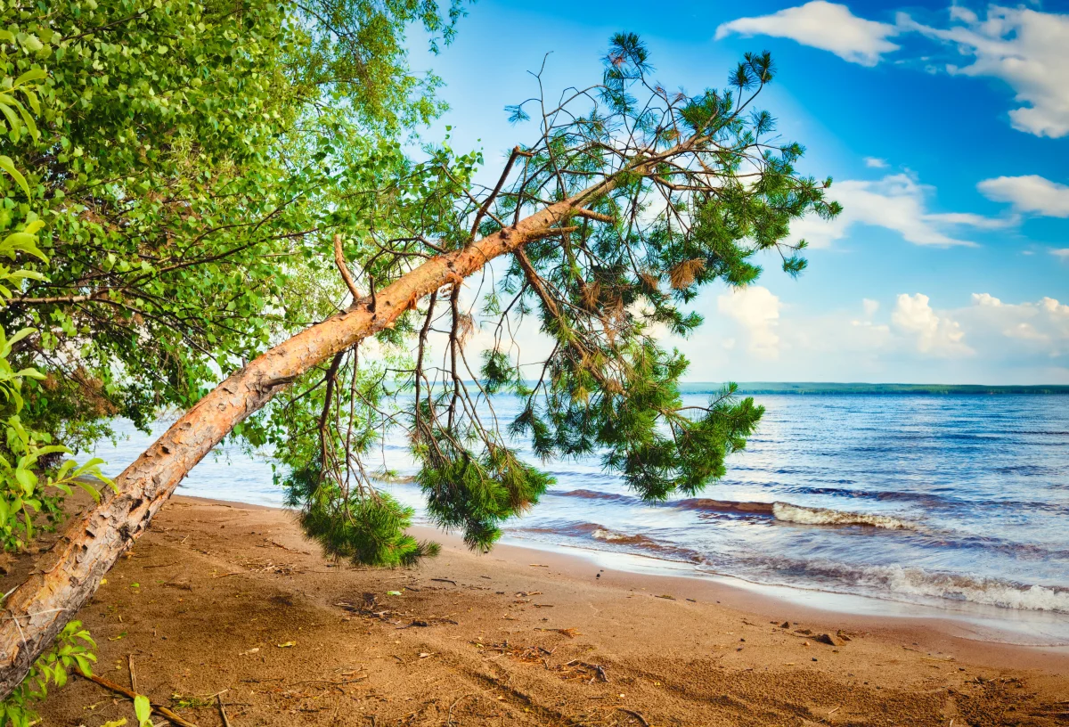 When Swimming Season Opens in Perm — and How Warm the Local Waters Actually Get