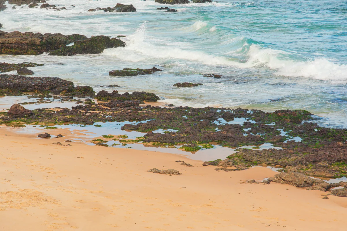 Why You Can't Always Swim in Australian Waters — and What's Scarier Than Sharks