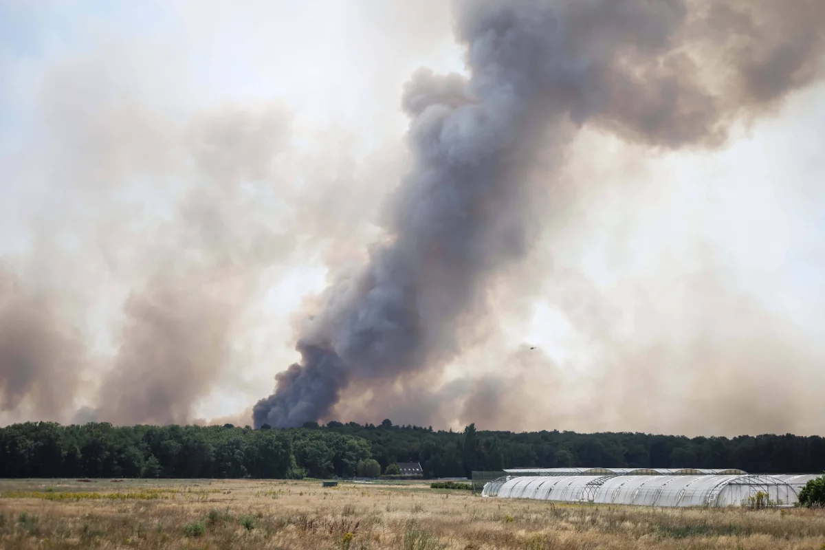 Wildfire Safety Rules — What to Do When the Fire Is Already Close