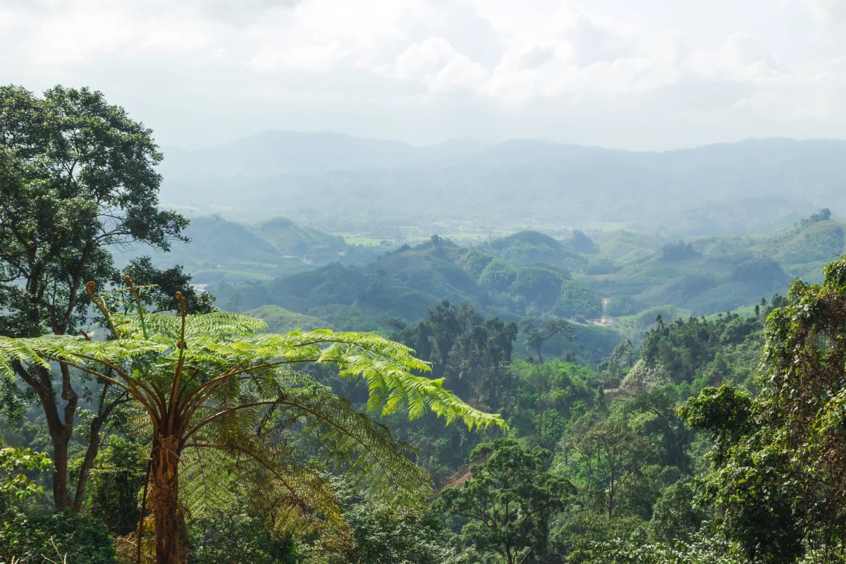 What's the Most Humid Place on Earth — and How Is It Different From the Rainiest?