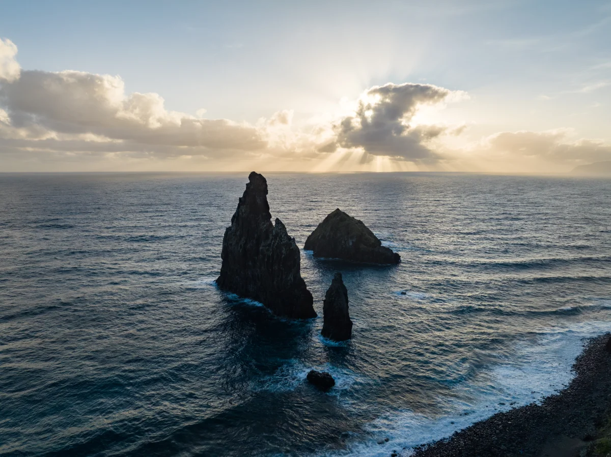 When to Go to Teriberka for Whale Watching — and Which Weeks Give You the Best Odds
