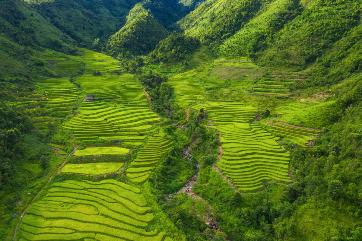 The Hottest Time in Vietnam: When the Heat Peaks and Which Regions Are Hardest to Endure