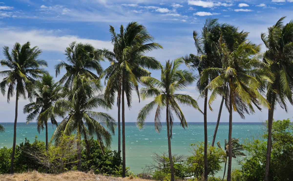 When to Go to Nha Trang — and Why One Wrong Month Can Ruin Your Entire Vacation