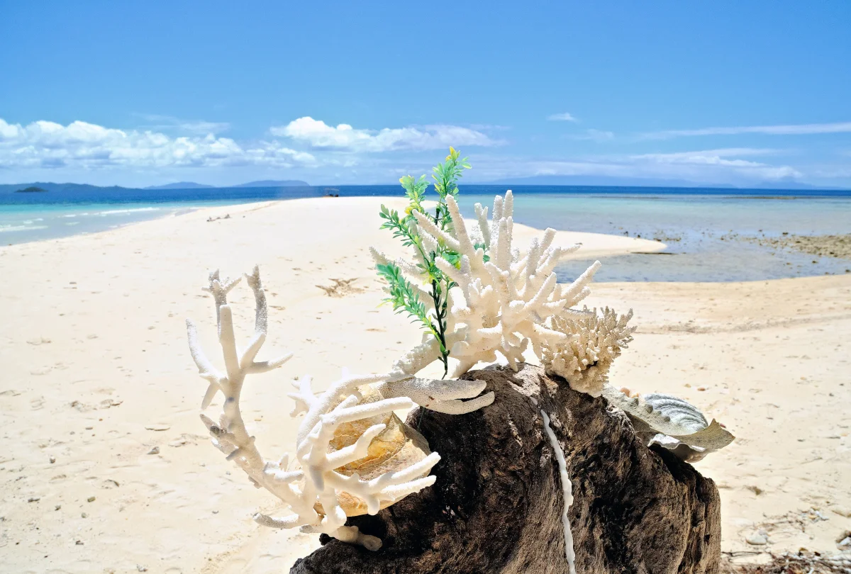When to Go to Indonesia for a Beach Vacation and Which Islands Have the Longest Season