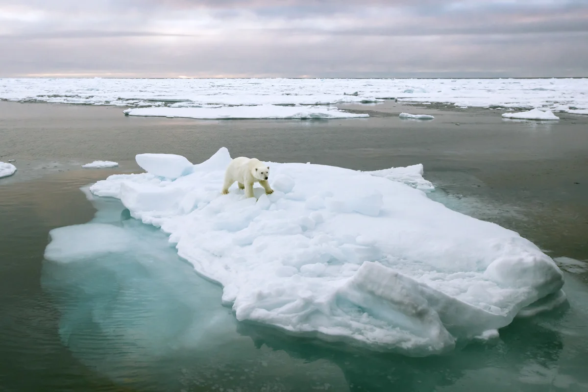 Russia's Coldest Sea: Where It Is and What the Water Temperature Reads at the Height of Summer