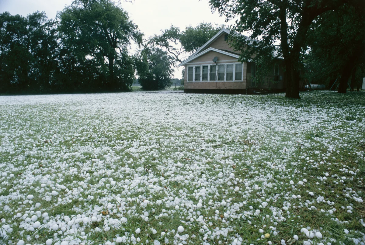 Why Precipitation Sometimes Falls as Ice in Summer — and Where That Ice Comes From at +30°C