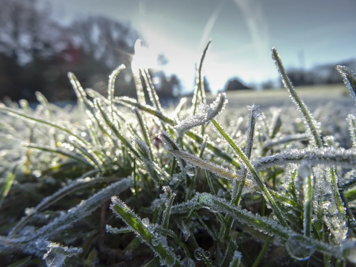 What Year Had Russia's Coldest Summer — and What Temperatures Were Recorded at the Height of July