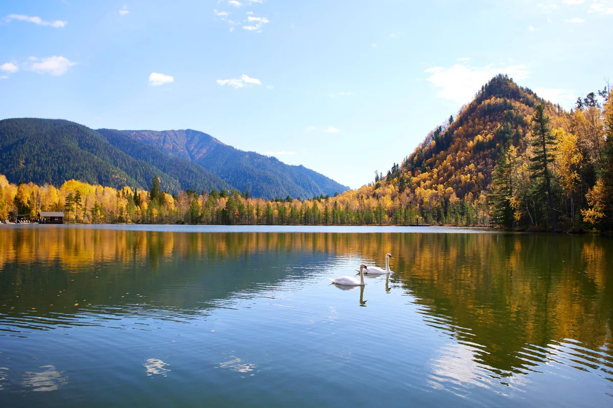 Where to Go in September Without a Passport — and Which Russian Destinations Open Up Specifically in Autumn