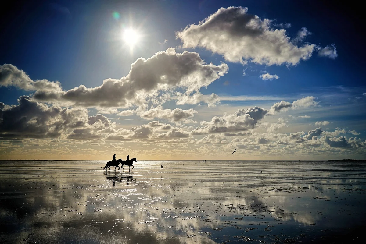 When You're Most Likely to See a Mirage — and Where in Russia You Can Actually Spot One