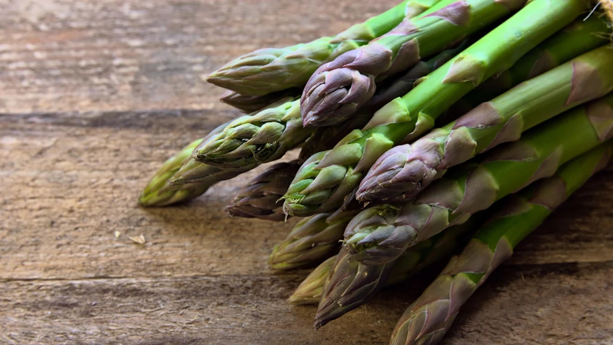 How to grow asparagus at your dacha – a step-by-step guide