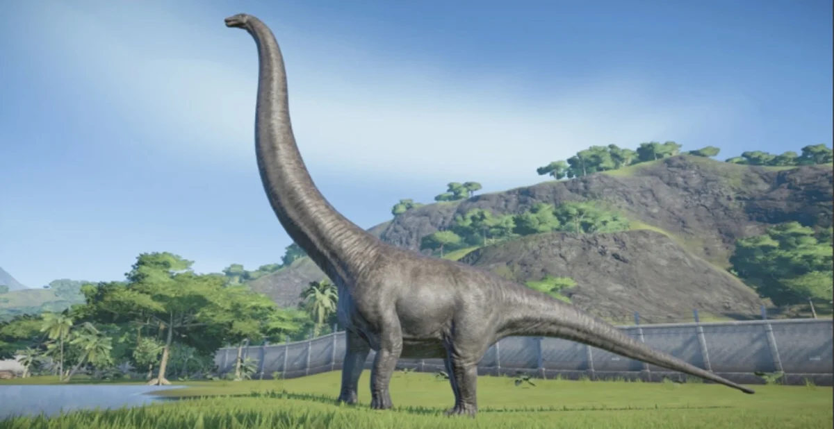 Researchers discover the dinosaur with the longest neck in China