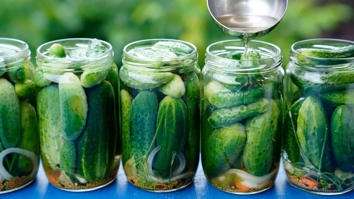 For a Crunchy Bite: The Best Cucumber Varieties for Pickling