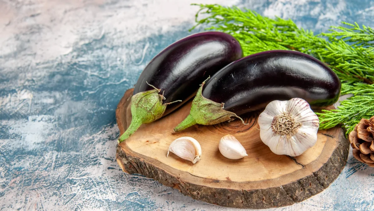 You'll Tire of Picking Them: What to Feed Eggplants in the Greenhouse and Open Ground for a Good Harvest