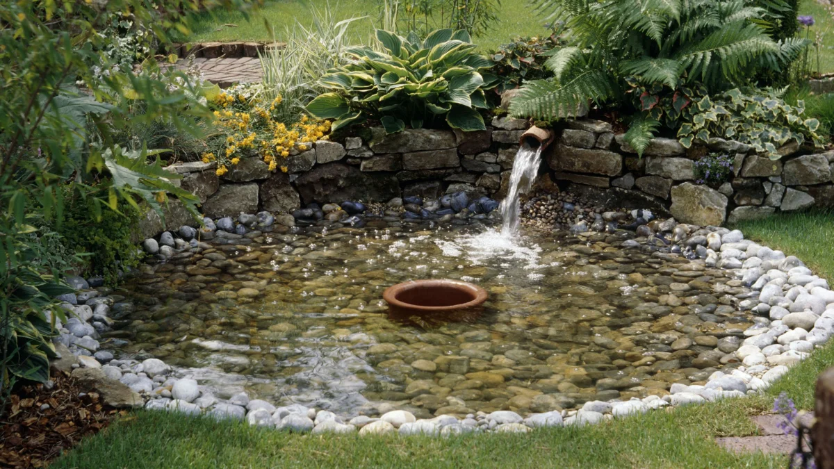 A fairytale beauty: how to build a pond at your dacha with your own hands and decorate it beautifully