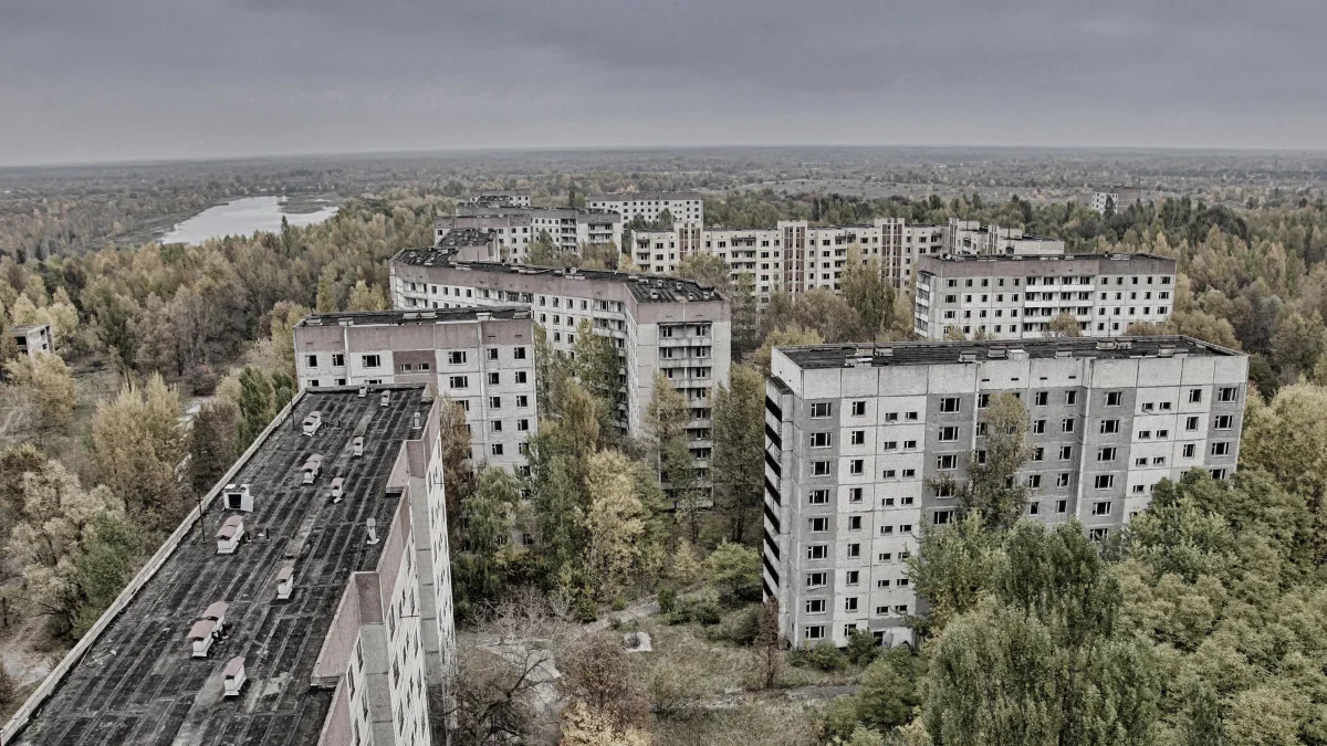 Mutants of Chernobyl: what ordinary animals from the exclusion zone turned into after the nuclear plant disaster