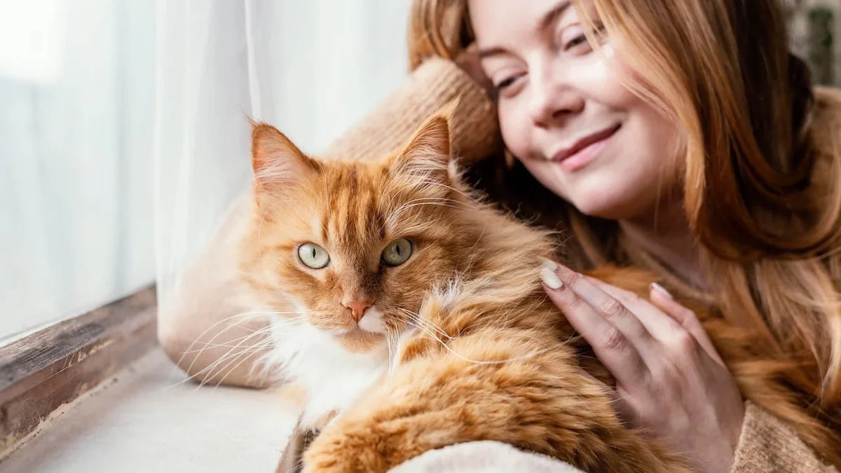 How Long Cats Live and How to Extend Your Pet's Life