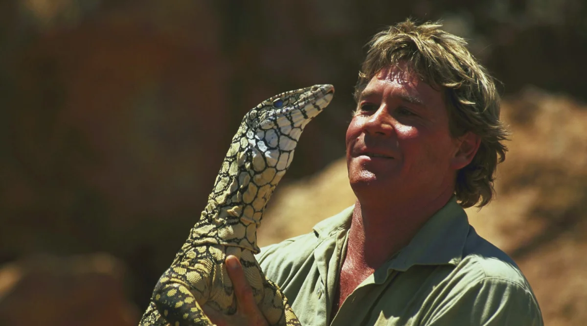Riding a crocodile: the incredible life and absurd death of naturalist Steve Irwin