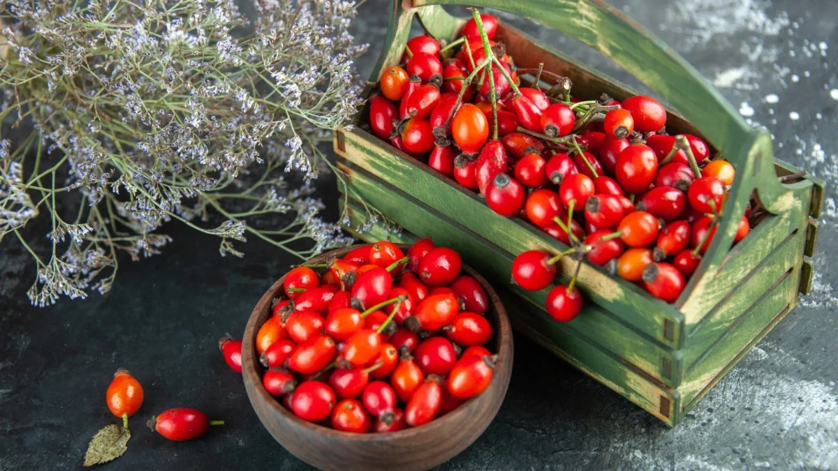 That very taste of childhood: make a rosehip drink just like in a Soviet cafeteria