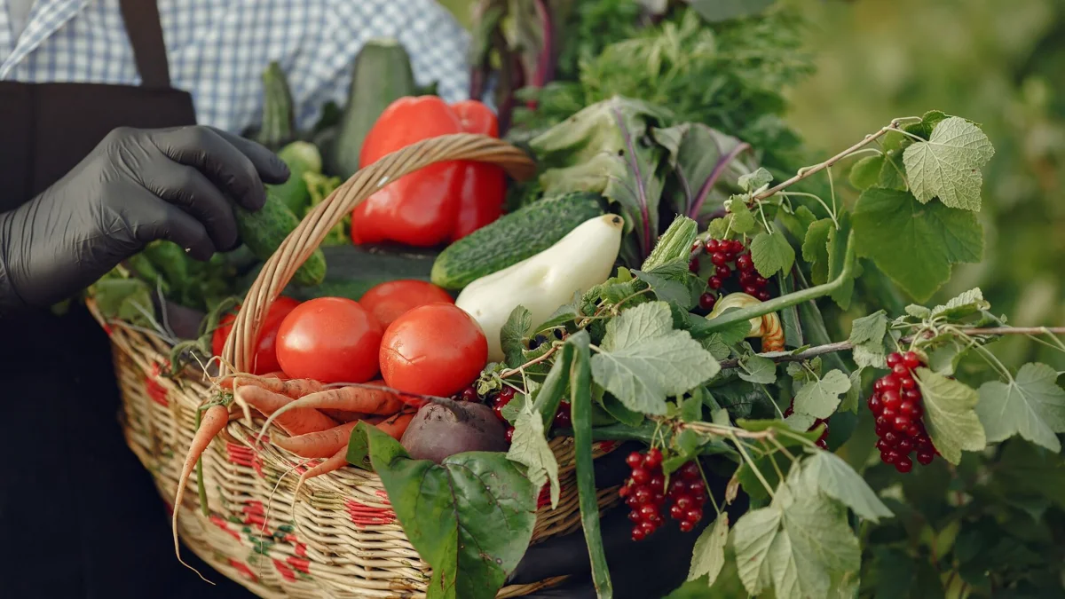 For a record harvest: how to make potassium fertilizer and feed it to your plants
