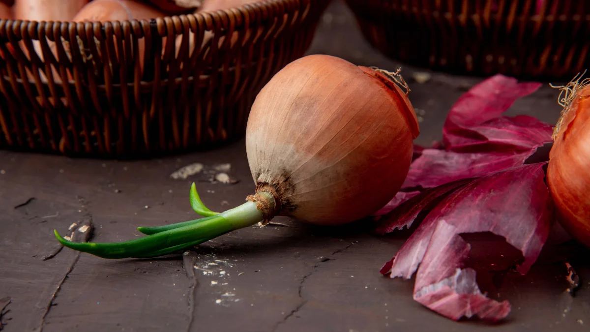 Onion peel for the garden – 5 ways to use it