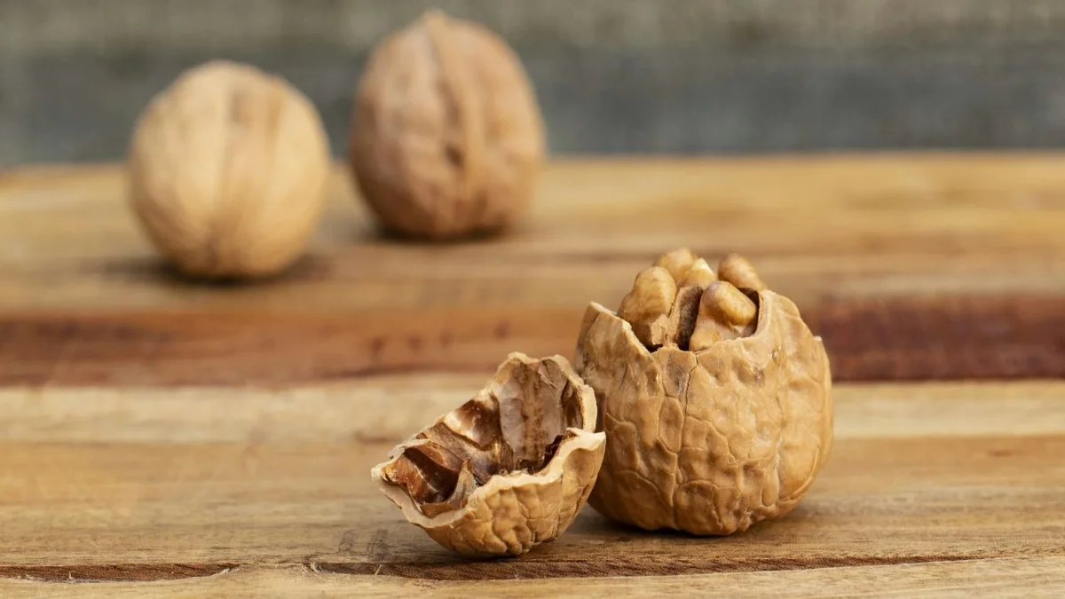 A thousand and one uses: nut shells will be an invaluable help to gardeners