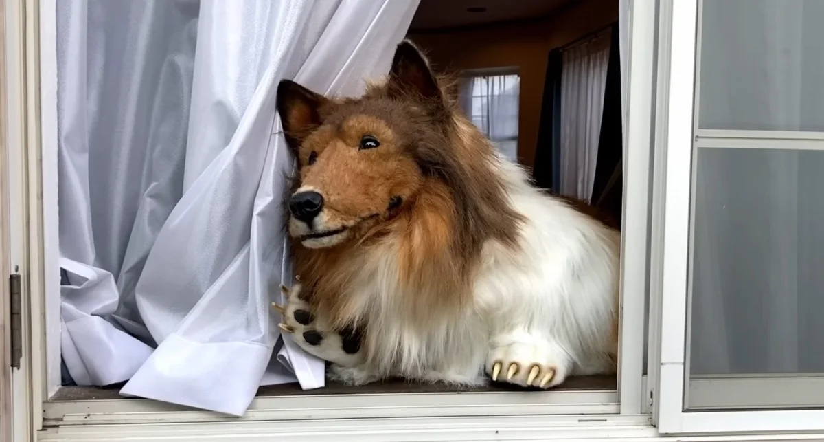 How the Japanese Man Who Paid 1 Million Rubles to Turn Into a Dog Lives