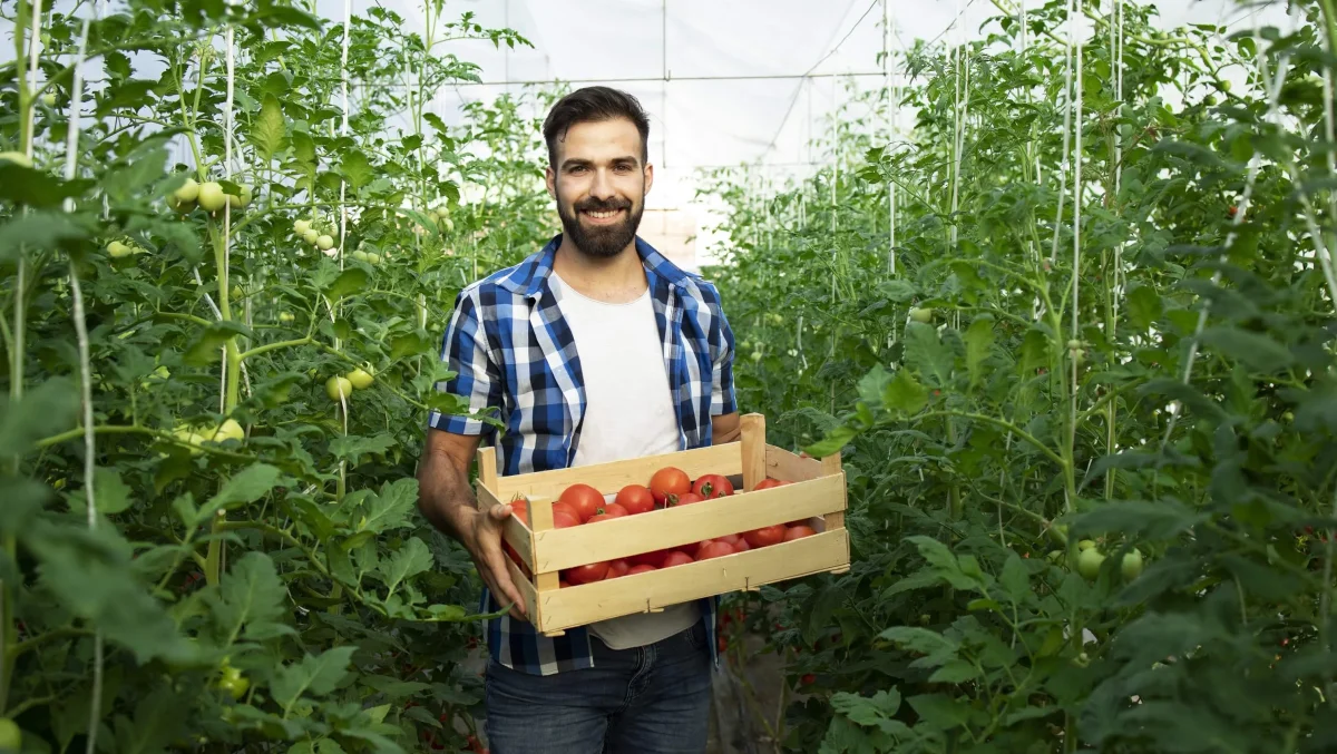 August is the right time: how to pinch out tomatoes so they grow large