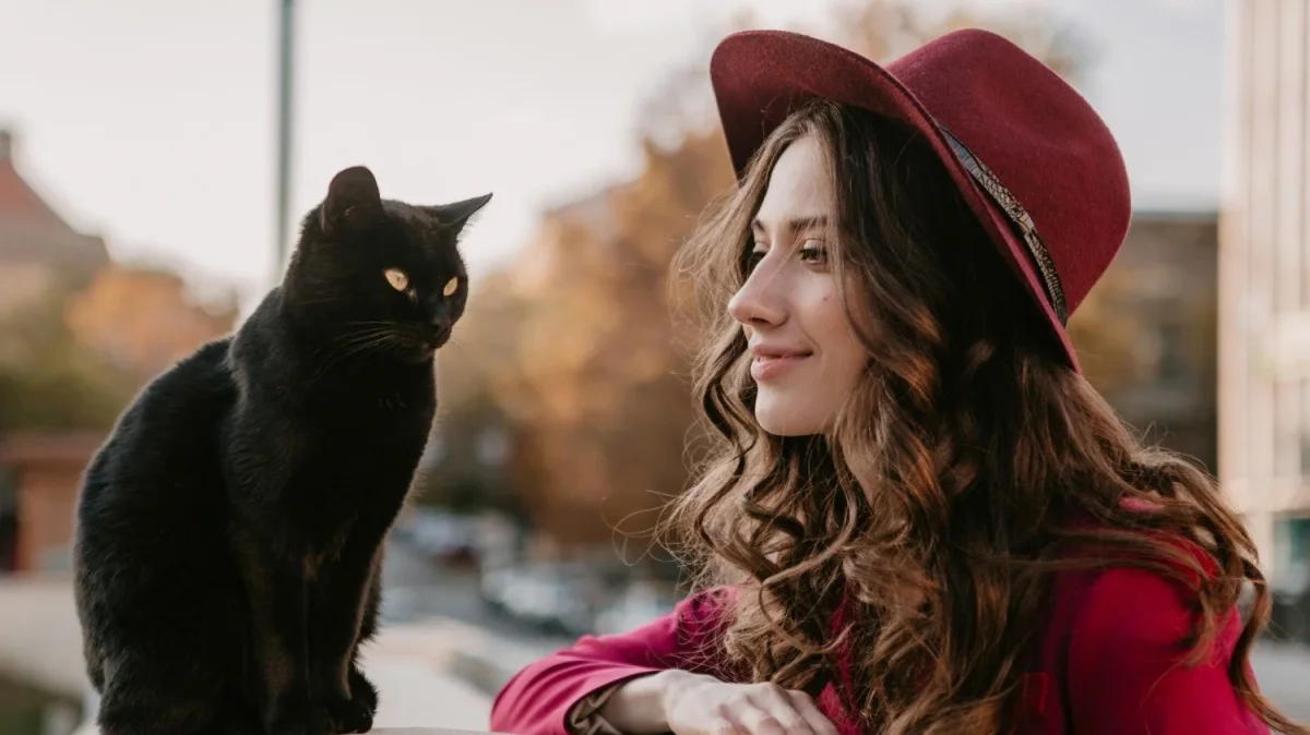 Eye to eye: what cat hypnosis is and how it helps build a bond with your four-legged friend