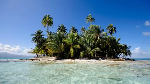 Forgotten on Clipperton Island: A Horrific Tragedy in Which Only 12 People Survived