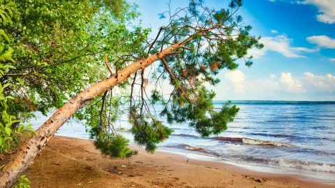 Когда в Перми открывается купальный сезон — и до какой температуры прогреваются местные водоёмы