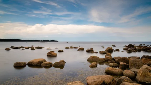 Можно ли купаться в Финском заливе летом и почему тёплая вода здесь — всегда лотерея