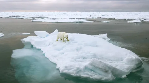 Самое холодное море в России: где оно находится и какая температура воды в нём в разгар лета