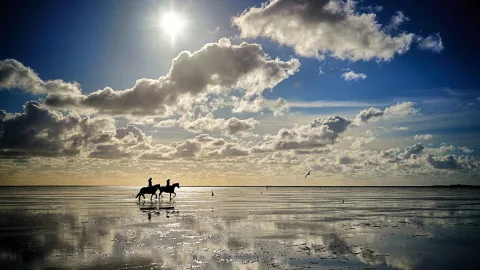 When You're Most Likely to See a Mirage — and Where in Russia You Can Actually Spot One