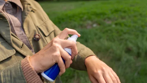 When Ticks Are Most Active — and Which Months Turn Even a City Park Into a Risk Zone