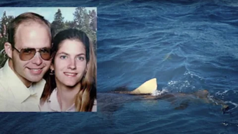 A fatal accident: the tragic story of the Lonergans, left behind in the open sea