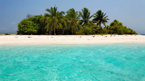 The Real Robinson Crusoe: A Man Who Lived on a Desert Island for More Than 70 Years