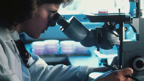 Famous Women Scientists Whose Discoveries Were Claimed by Men