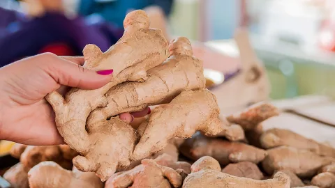 Как в домашних условиях вырастить имбирь из корня, купленного в магазине