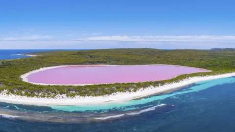 The Most Amazing and Unusual Natural Phenomena