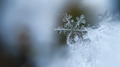 The Largest Snowflake in the World: Guess Its Dimensions