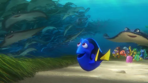 Venomous and ill-tempered: what the fish Dory from «Finding Nemo» is really like