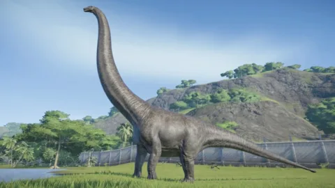 Researchers discover the dinosaur with the longest neck in China