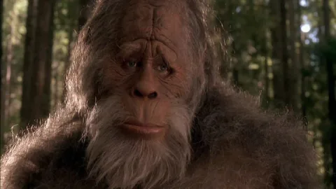 Who Bigfoot really is: 5 scientific theories
