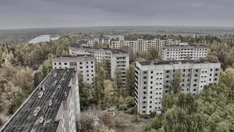Mutants of Chernobyl: what ordinary animals from the exclusion zone turned into after the nuclear plant disaster