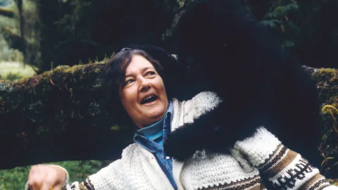 Queen of the mountain gorillas: the life and death of the famous primatologist
