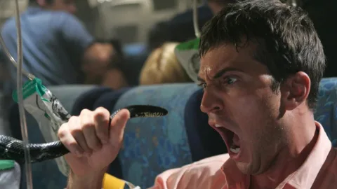 Rabid sheep and zombie beavers: 10 horror films about very unusual animals