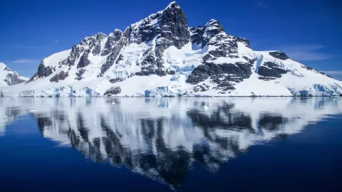 He wept over the oranges: the survival story of a famous geologist in Antarctica